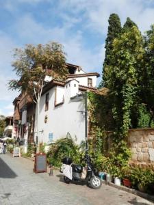 Villa Tulipan - 97