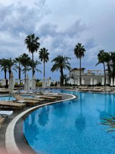 Selectum Family Comfort Side - 27