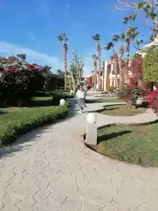 Ali Baba Palace -Families and Couples Only- - 11