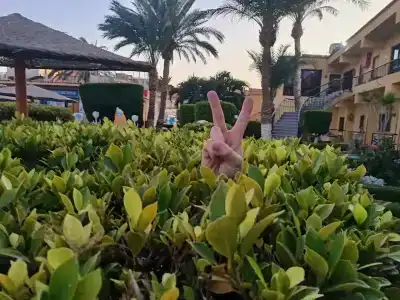 Sand Beach Resort - 29