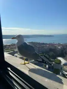 Conrad Istanbul Bosphorus - 11