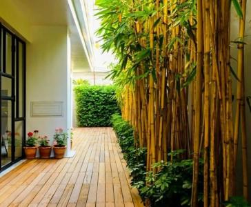 UMA Residence - 9