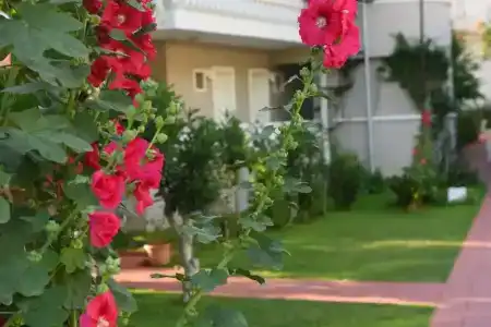 Oludeniz Turquoise - 10