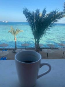 Sunny Days El Palacio Resort & Spa - 46
