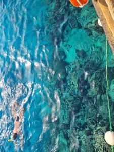 Xperience Sea Breeze Resort - 80