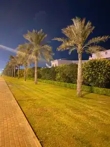 Sahara Beach Resort & Spa - 4