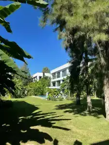 Paloma Finesse Side - 18