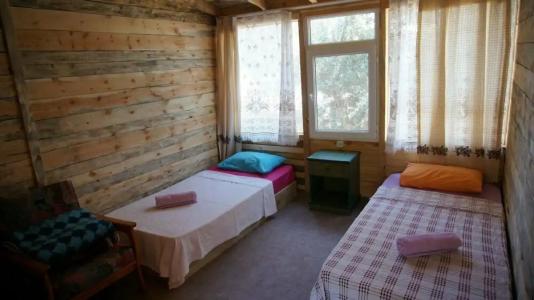 Shiva Camp - 51