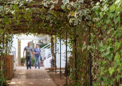 Houm Plaza Son Rigo - 16