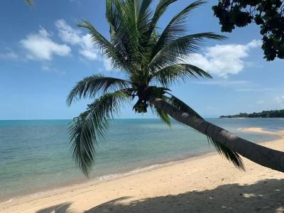 Sand Sea Resort & Spa - Lamai Beach , Koh Samui - 72