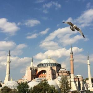 Kalyon Istanbul - 66