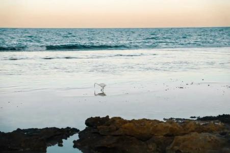 Sentido Akassia Beach - 35