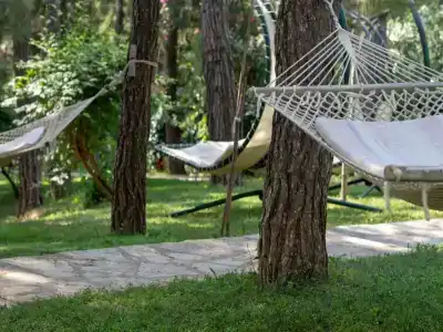 Greenland - All Inclusive - 24