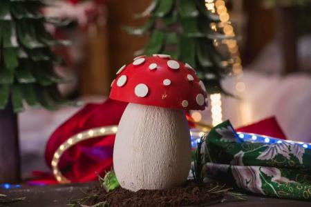 Kempinski Nile, Cairo - 89