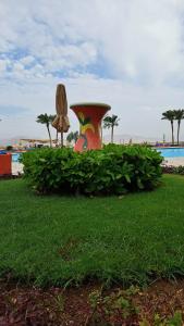 Barceló Tiran Sharm - 70