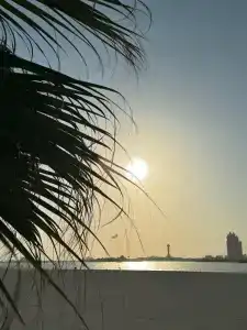 Al Ain Palace Abu Dhabi - 11