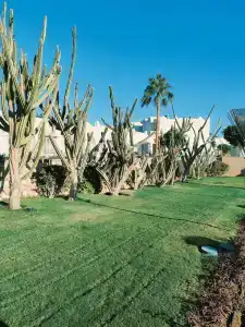 Sentido Reef Oasis Senses Aqua Park Resort - 91