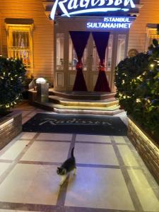 Radisson Istanbul Sultanahmet - 32