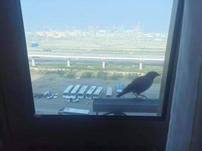 Oaks Ibn Battuta Gate Dubai - 67