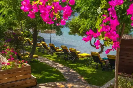 Suncity - Beach Club - 5