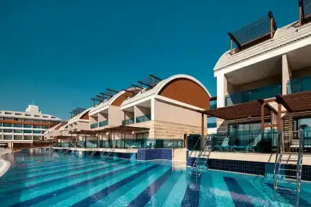 Tuı Magic Life Jacaranda - 82