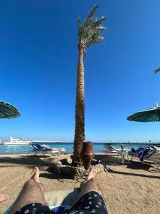 Le Pacha Resort - 74