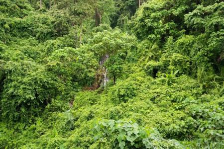 SYLVAN Koh Chang - 39