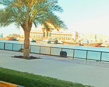 Al Bustan - 47