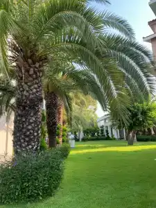 Club Turan Prince World - Kids Concept - 32