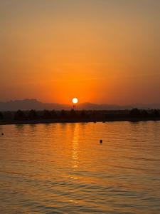 Hurghada Coral Beach - 19