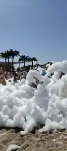 Barceló Tiran Sharm - 38