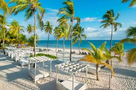 Catalonia Punta Cana - Все включено - 56