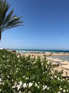 Royal Star Beach Resort - 25