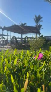 King Tut Aqua Park Beach Resort - 93