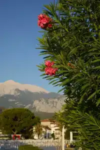 Club Marco Polo - Premium All Inclusive - 45