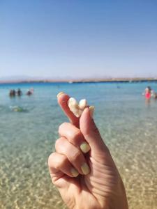 Pyramisa Beach Resort Sahl Hasheesh - 53