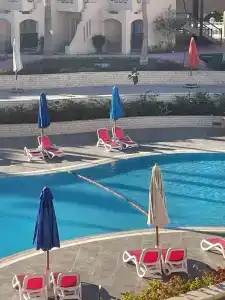 Ivy Cyrene Sharm Resort Adults Friendly Plus 13 - 7