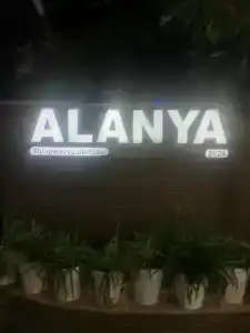 Blue Wave Suite - 46