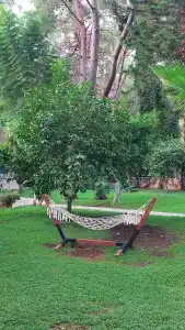 Armas Kaplan Paradise - 72