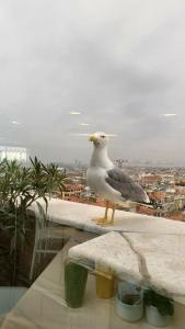 Radisson President Old Town Istanbul - 21