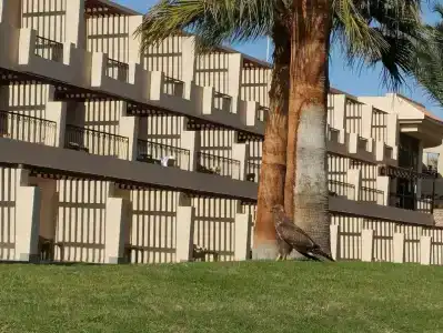 Xperience Kiroseiz AquaPark Premier-Naama Bay - 10