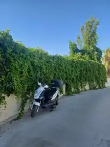 Petunya Beach Resort - 50