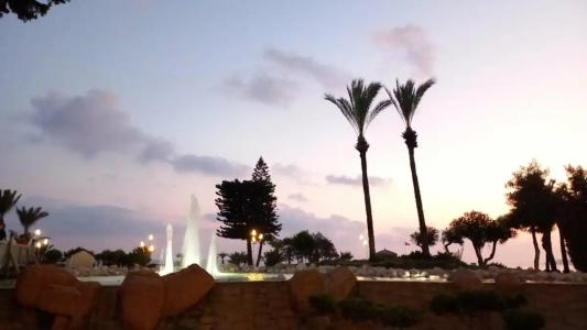 AQI Pegasos Club - 65