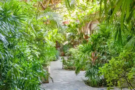 Tropica Bungalow Beach - SHA Extra Plus - 5