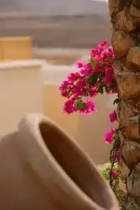 TUI MAGIC LIFE Kalawy - 34