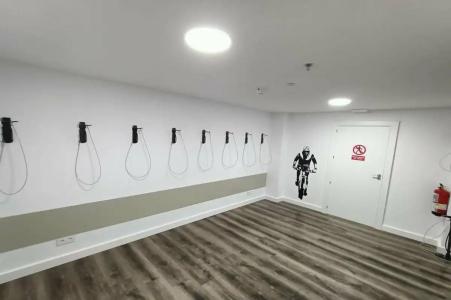 Vibra Palma Cactus - 42