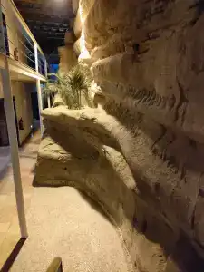 Lido Sharm Naama Bay - 32