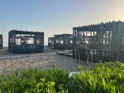 Paloma Finesse Side - 40