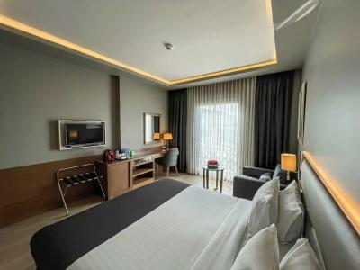 Holiday Inn Bursa - City Centre, an IHG - 56
