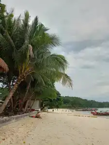 Phi Phi Andaman Legacy Resort-SHA Plus - 62